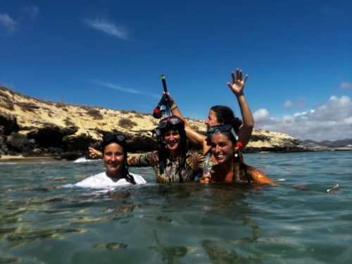 da76c5a1-9a5d-4b10-a2a4-4810fed39c14